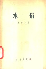 水稻