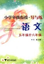 小学年级衔接·导与练  语文  五年级升六年级