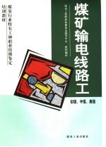 煤炭行业特有工种<em>职业</em>技能鉴定培训教材  煤矿输电线路工  初级、中级、高级