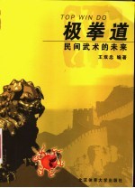 极拳道  民间武术的未来