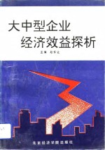 大中型企业经济效益探析
