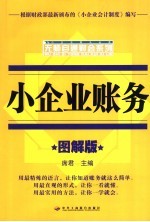<em>图解</em>小企业账务  <em>图解</em>版