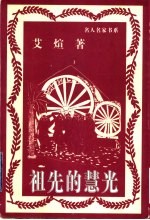 祖先的慧光  散文