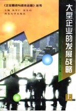 大型企业的发展战略  上