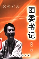 团委书记  长篇小说