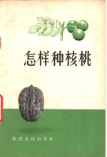 怎样种<em>核桃</em>