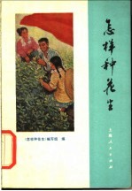 <em>怎样</em>种花生