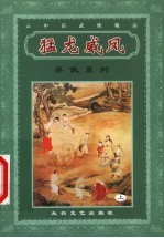 异侠系列  猛龙威风  上