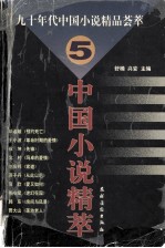 中国小说精萃  九十年代中国小说精品荟萃  5