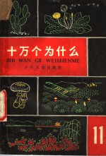 十万个为什么  11