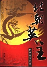 北朝英主  长篇历史小说