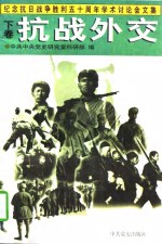 抗战外交  下卷