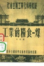 工业的<em>粮食</em>  煤