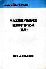 电力工程<em>技术</em>改造项目经济评价暂行办法  试行