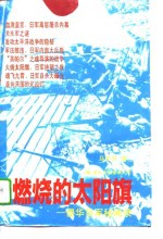 燃烧的太阳旗  侵华日军秘闻录