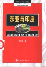 东亚与印度  亚洲两种现代化模式