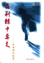 在荆棘中奔走  公安局长纪事
