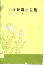 <em>丁玲</em>短篇小说选  上下