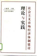 社会主义市场经济体制建设理论与实践