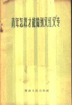 青年怎样才能做到又红又专