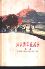 知识青年在延安  第1集