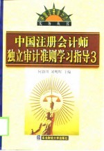 中国注册会计师独立审计准则学习指导  3