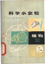 科学小实验  植物  2