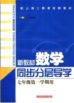 新教材数学同步分层导学  七年级  第一学期