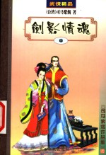 剑影情魂  中