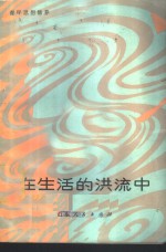 在生活的洪流中
