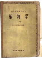 高等学校教学用书  植物学  上  形态解剖部分
