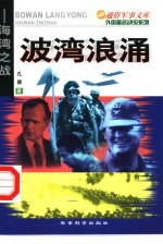 波湾浪涌  海湾之战