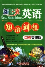 短语、词组  中考突破版