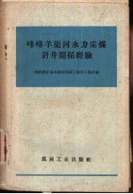 峰峰<em>羊</em>渠河水力采煤斜井开拓经验