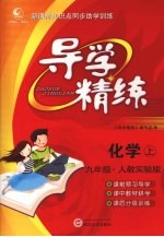 导<em>学</em>精练  化<em>学</em>  九年级  上  人教<em>实验</em>版
