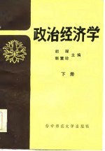 政治经济学  下  胡<em>琛等</em>