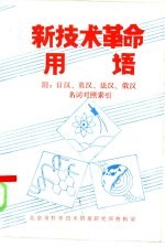 新<em>技术</em>革命用语  附：日汉、英汉、法汉、俄汉名词对照索引