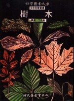 树木