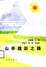 山亭跳跃之路