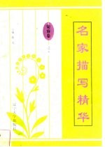 名家描写精华  姿容卷·之五