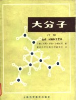 大分子  下  合成、材料和工艺学