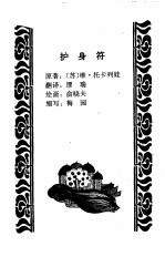 护身符  现代世界儿童文学名著精选