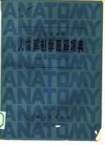 人体解剖学图解词典  汉拉英对照