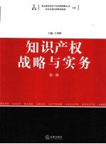 知识产权战略<em>与</em>实务  <em>第</em><em>1</em><em>辑</em>
