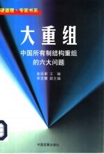 大重组  中国所有制结构重组的六大问题