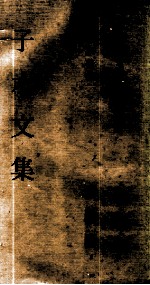 中国现代名家选集  子水文集