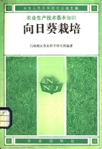 向日葵栽培