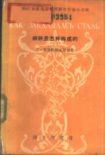 钢铁是怎样炼成的  节本