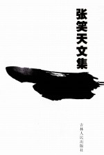 张笑天文集  长篇小说卷  永宁碑