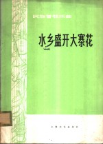 水乡盛开大寨花  民族管弦乐曲